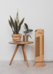 Čistička vzduchu Ionic-CARE u dřevěného odkládacího stolku s pokojovými rostlinami, dekor dřevo dub